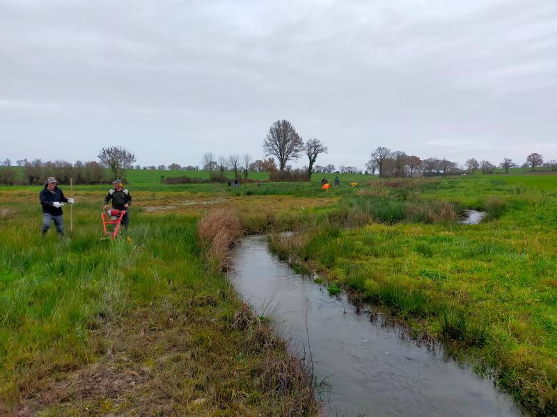 Plantation de haies aux Loges Maltières
