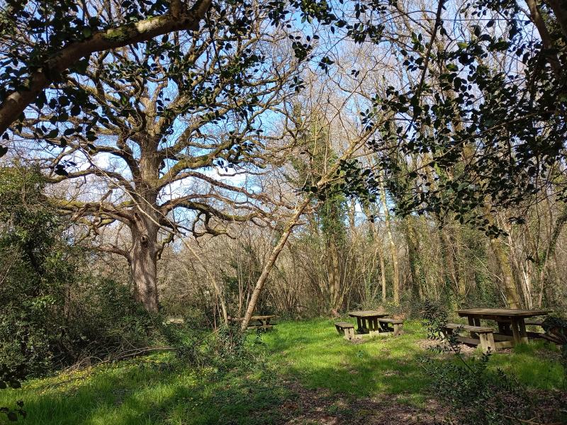 Sentiers de randonnées